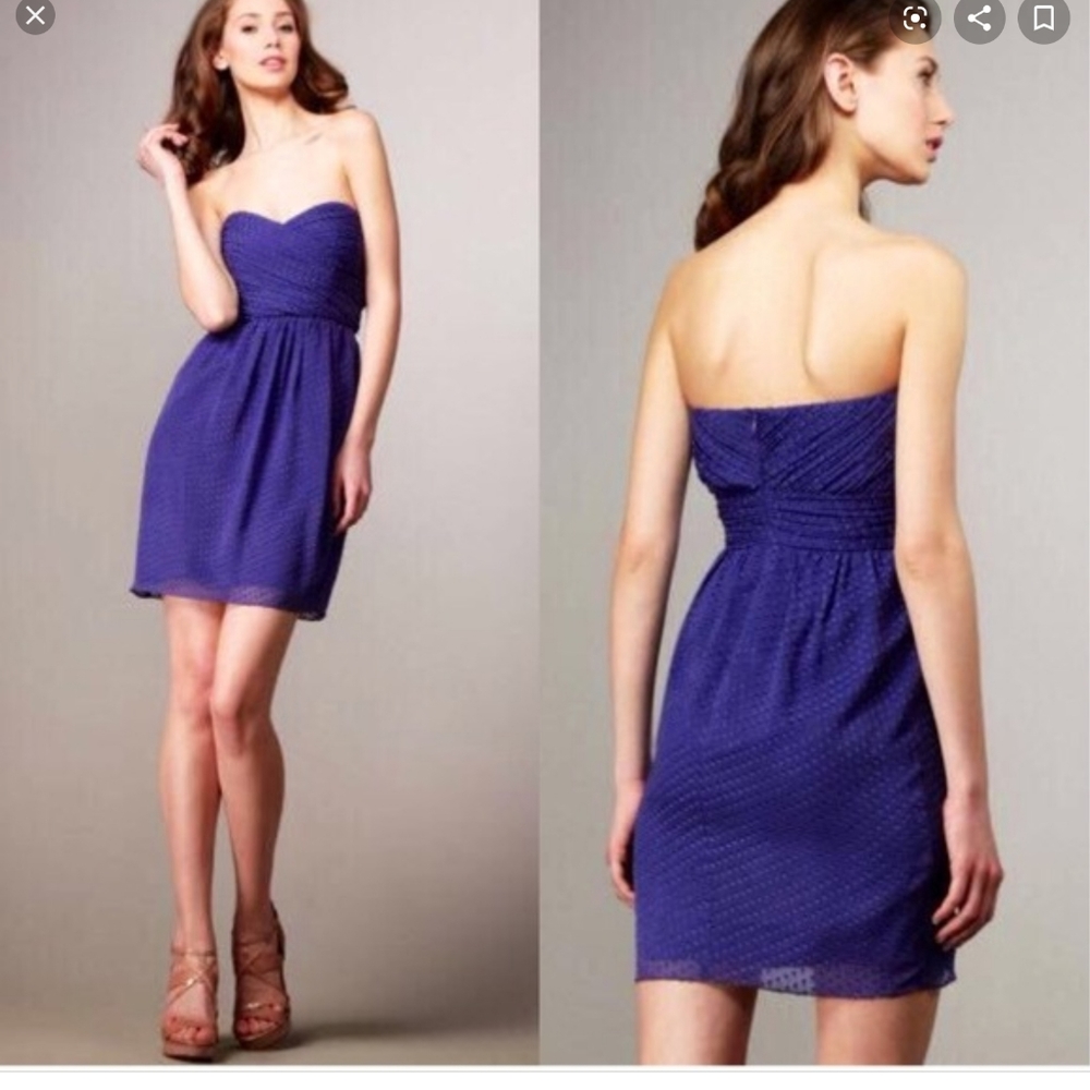 Soshanna swiss dot dress